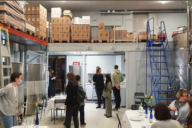 Visit to Authentic Finnish Berry Winery, Tasting Included - Free time, local shopping, and the rural setting