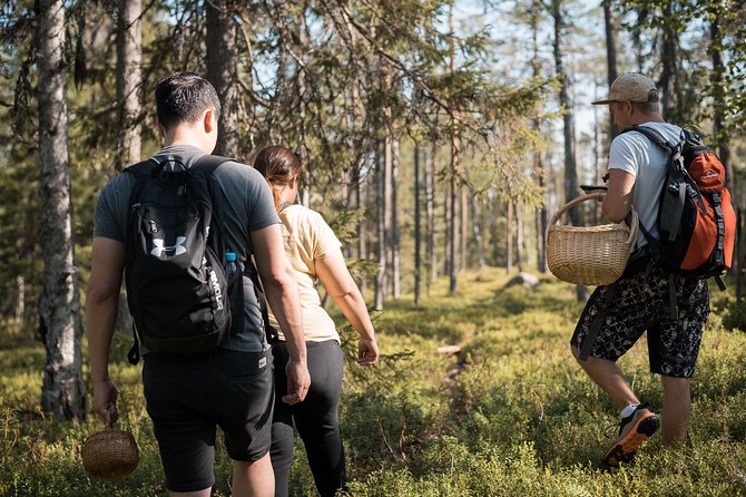 Wild Berries and Mushroom picking tour - The ride from Rovaniemi to the picking area