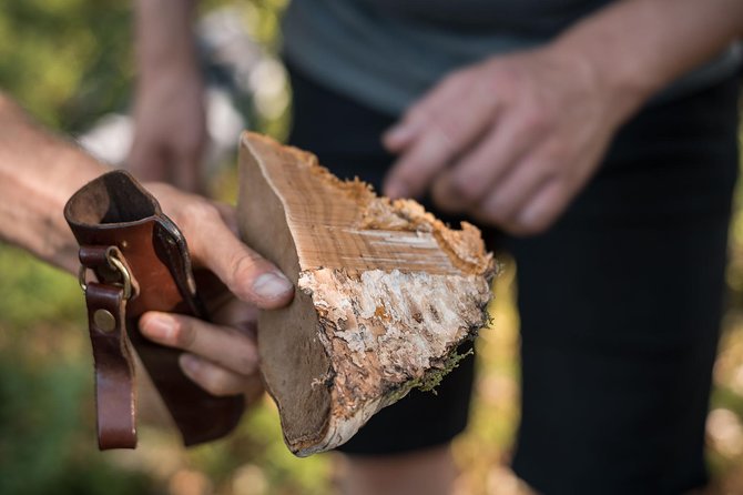 Wild Berries and Mushroom picking tour - The open-fire break