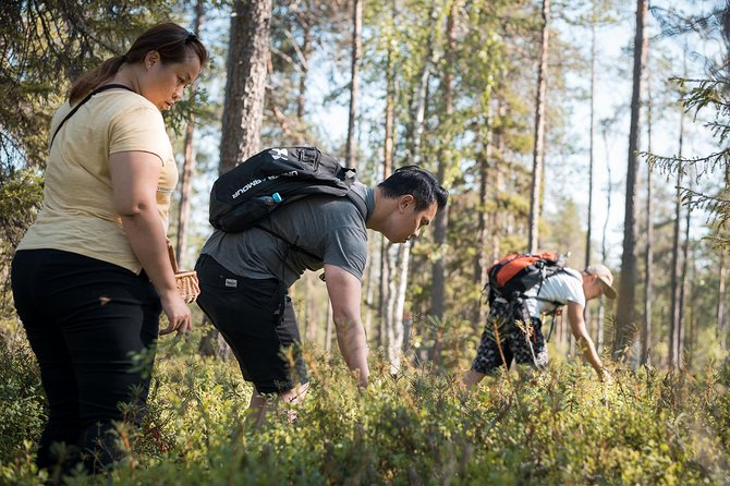 Wild Berries and Mushroom picking tour - The best time to schedule your forest walk