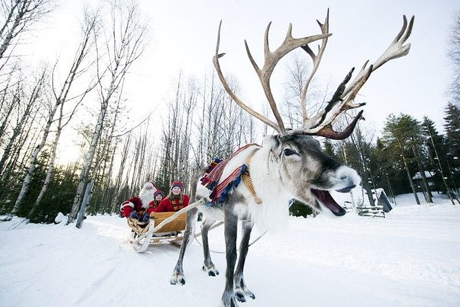 Wild Reindeers Safari + Lunch in Glass Igloo (private service) - Warm drinks and an open fire after the ride