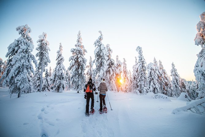 Wilderness snowshoe adventure - Leaving Rovaniemi for the snowy woods