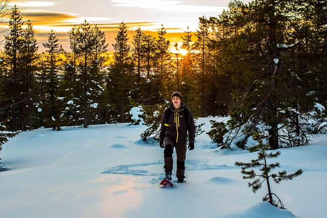 Wilderness snowshoe adventure - Who will enjoy this Arctic forest walk