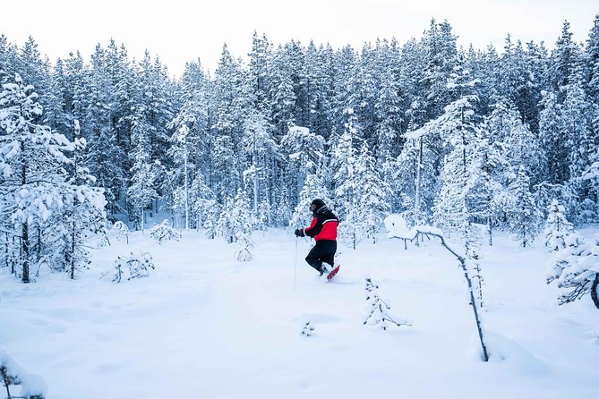 Wilderness snowshoe adventure - Should you book the Wilderness Snowshoe Adventure?