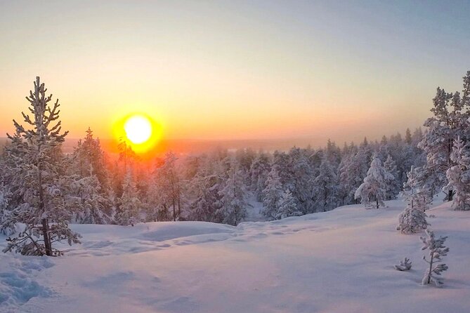 Wilderness Survival Tour - Winter - Cancellation and meeting details
