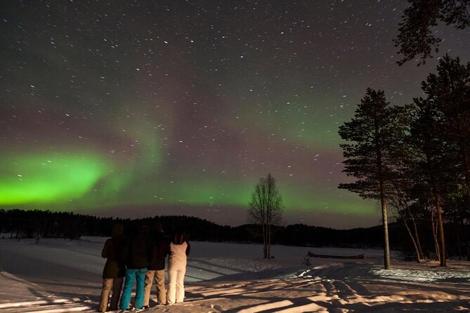 Winter afternoon group Ride in Saariselkä - Key points to know before you book
