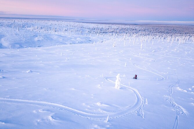 Winter afternoon group Ride in Saariselkä - Why this two-hour ride works in Saariselkä