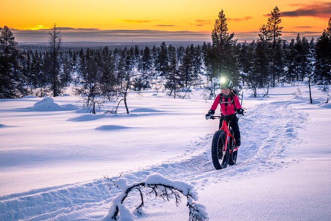 Winter afternoon group Ride in Saariselkä - The short ride from town to the park