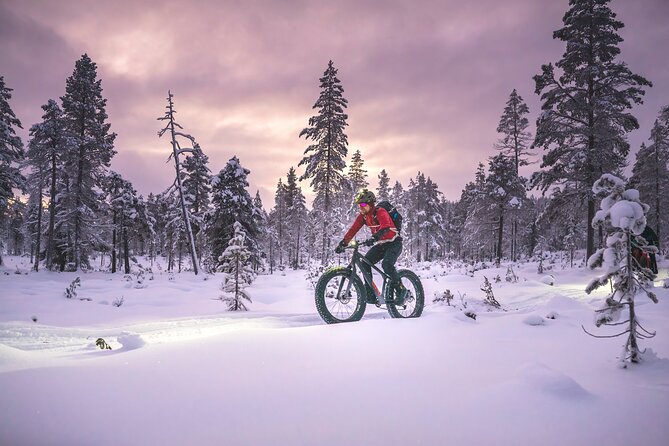 Winter afternoon group Ride in Saariselkä - Who should book this Saariselkä activity