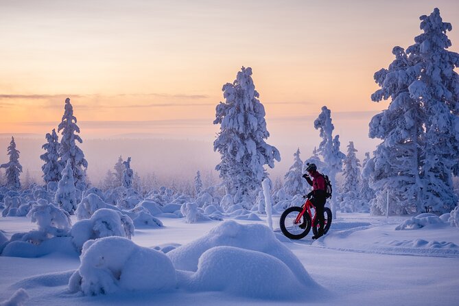 Winter afternoon group Ride in Saariselkä - Returning to Saariselkä after the ride