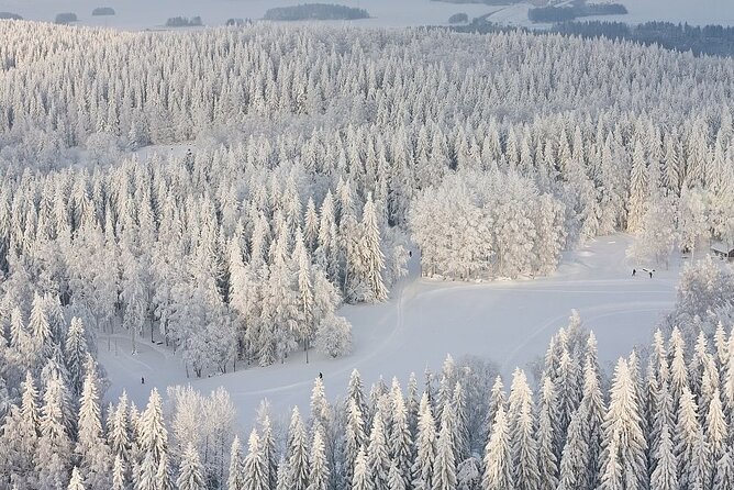 Winter Quad Bike Ride in the Arctic Circle from Rovaniemi - Following the guide into the snowy forest