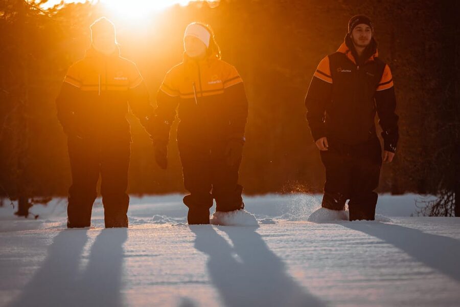 Ylläs: Forest Hike with Snowshoes - Key points to know before you book