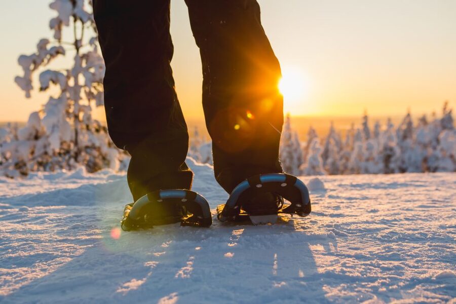 Ylläs: Forest Hike with Snowshoes - Watching for animal tracks in the boreal forest