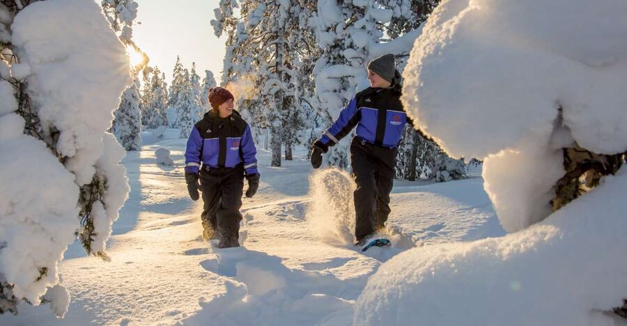 Ylläs: Forest Hike with Snowshoes - Learning the basics on snowshoes