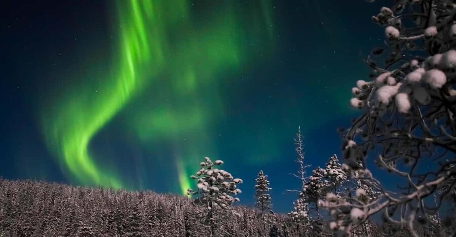 Ylläs: Seeking Northern Lights Photo Tour - Should you book it?